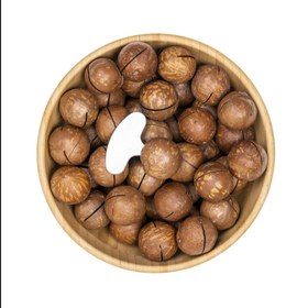 تصویر ماکادمیا 