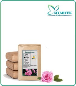 تصویر گل محمدی خشک فله 