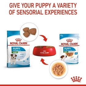 تصویر پوچ توله سگ مینی رویال کنین 85 گرم (توله سگ های نژاد کوچک) Royal Canin Mini Puppy Pouches 85g