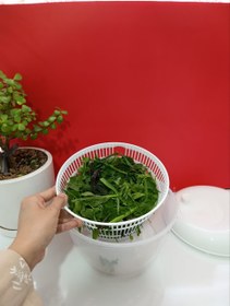 تصویر سبزی خشک کن پلاستیکی 