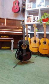 تصویر گیتار دیاموند به همراه کاور ضدضربه و مضراب - 1 Guitar