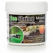 تصویر SaltyShrimp Bee Shrimp Gh+ سالتی بی شریمپ 