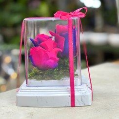 تصویر رز جاودانه صورتی آبی 