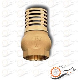 تصویر شیر یکطرفه صافی دار سیم ایتالیا CIM95 CIM95 strainer check valve