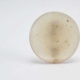 تصویر سنگ شجر کد 2324 