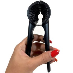 تصویر گردو شکن شنیا 