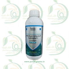تصویر فن مدیفام + دس مدیفام (بتانال)داروگستر 
