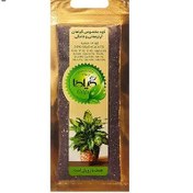 تصویر کود مخصوص گیاهان آپارتمانی و خانگی گیلدا 