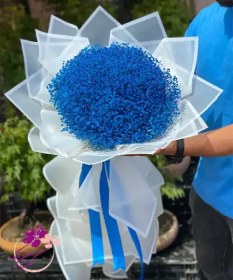 تصویر دسته گل ژیپسوفیلا آبی 