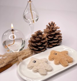 تصویر گلسر پولیشی تدی 1828 1828