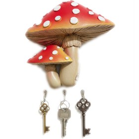 تصویر قارچ فومی 