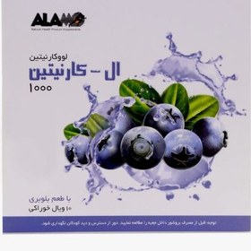 تصویر ویال خوراکی ال کارنیتین 2000 آلامو 10 عدد - طعم: پرتقالی - تعداد در بسته: 10 Alamo L Carnitine 2000 10 Vials