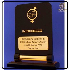 تصویر تندیس 0569 