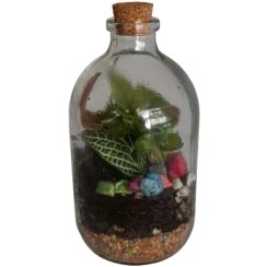 تصویر تراریوم مدل ویال 