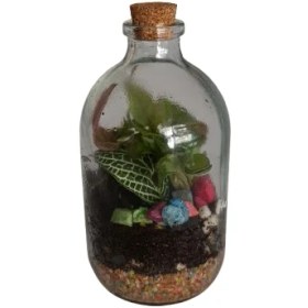 تصویر تراریوم مدل ویال 