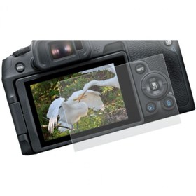 تصویر محافظ صفحه LCD Screen Protector for Canon EOS R8 