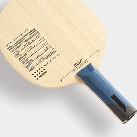 تصویر زتا آفنسیو 