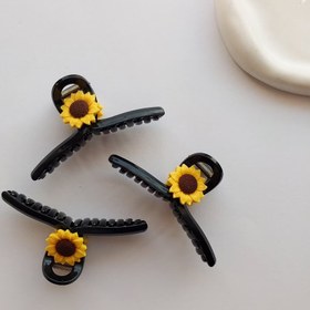 تصویر کلیپس افتابگردان 