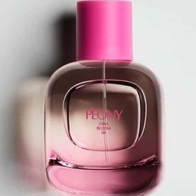 تصویر ادکلن زارا پیونی ZARA PEONY ZARA PEONY PERFUME