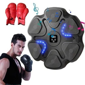 تصویر کیسه بوکس موزیکال ZL-9 