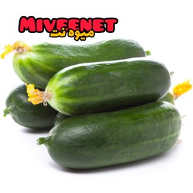 تصویر خیار یک کیلویی اصفهان بسته بندی میوه نت Isfahan cucumber 1kilo fresh packing miveenet