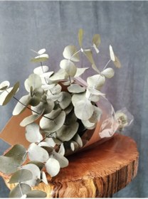 تصویر بودکور ست کاتر گلسازي اکاليپتوس 230085 