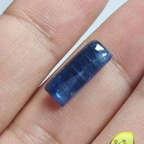 تصویر نگین کیانیت 