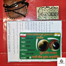 تصویر مهره مار آناکوندا 