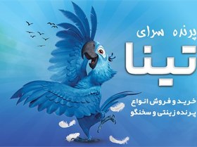 تصویر طرح کارت ویزیت پرنده سرا، حیوانات خانگی و آکواریوم 