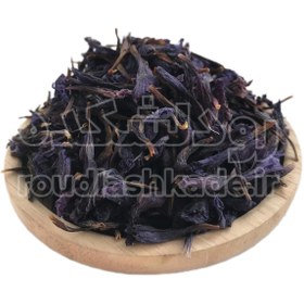 تصویر گل گاو زبان Viper's-Buglosses