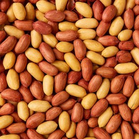 تصویر بادام زمینی آستانه 