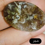 تصویر نگین شجر 