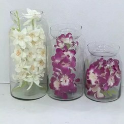 تصویر تنگ ماهی وگلدان مرجان سایز متوسط ارتفاع 21عرض 11 