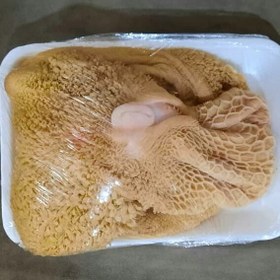 تصویر سیراب وشیردان بره 