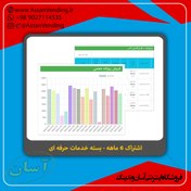 تصویر اشتراک 6 ماهه بسته خدمات حرفه ای Professional Service Package