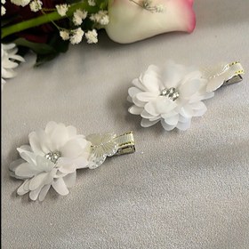 تصویر گل سر شکوفه(جفتی) 