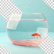 تصویر تنگ ماهی قرمز بدون زمینه Tight red fish transparent background