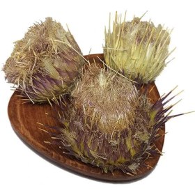 تصویر خارمریم 