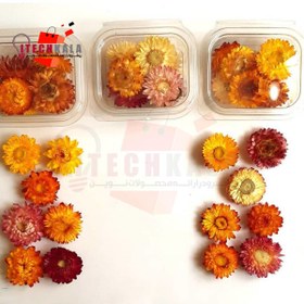 تصویر گل خشک مینا (7 عددی) 