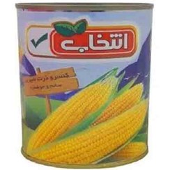 تصویر کنسرو ذرت حلب - 3 کیلوگرم 