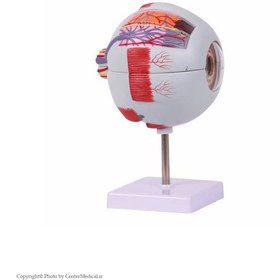 تصویر مولاژ چشم 20 برابر 