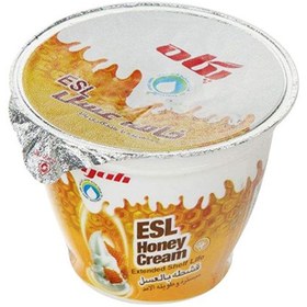 تصویر خامه عسلی پگاه 100 گرمی 