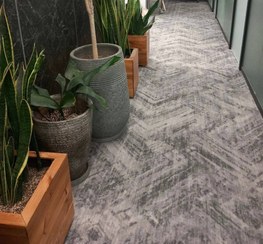 تصویر موکت سپیدار پالاز موکت 