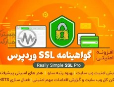 تصویر دانلود افزونه Really Simple SSL pro گواهینامه امنیتی وردپرس 