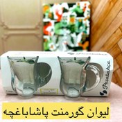 تصویر لیوان گورمنت پاشاباغچه 