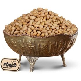 تصویر سویا آجیلی 