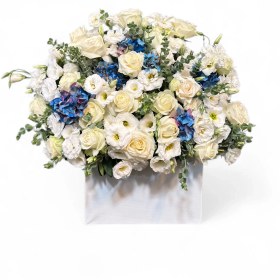 تصویر باکس هورتانسیا 