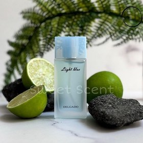تصویر عطر ادوپرفیوم زنانه دلگادو مدل لایت بلو حجم ۲۵ میلی لیتر خنک 