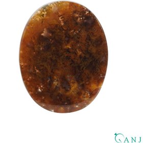 تصویر سنگ شجر پاییزی کد N1097 