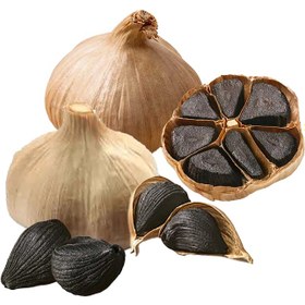 تصویر سیر سیاه اعلا 250 گرم ، سیرسیاه اعلا black garlic